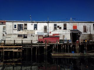 Consider the Lobster